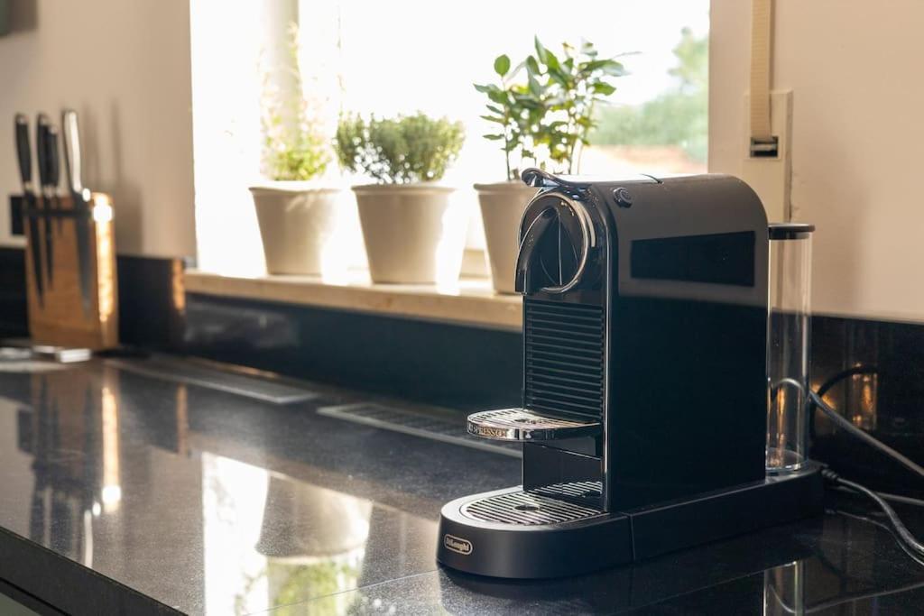 Grafschafft Angenehmes Wohnen - Ferienwohnung Mit 2 Schlafzimmern Pirna Ngoại thất bức ảnh
